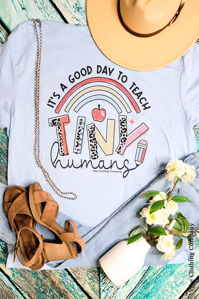 It's A Good Day To Teach Tiny Humans Graphic Tee graphic tees VCC Blue Small 