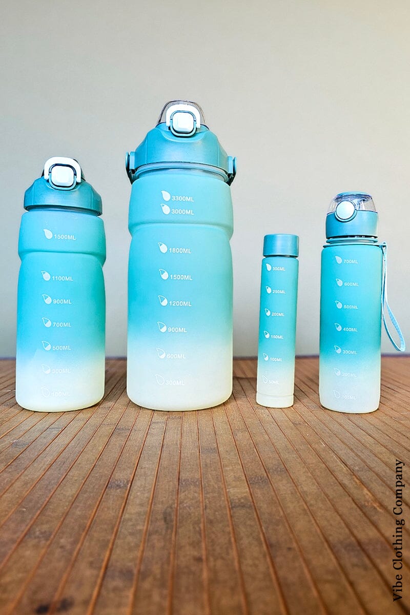 4 Pc Water Bottle Sets gift Handbag Warehouse Wilderness 