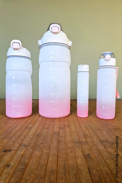 4 Pc Water Bottle Sets gift Handbag Warehouse Artic 