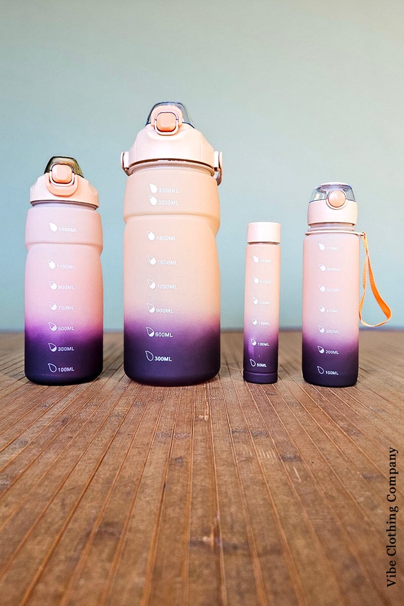 4 Pc Water Bottle Sets gift Handbag Warehouse Acorn 
